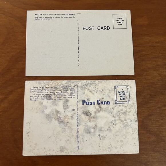 Lot Of 7 Vintage Texas Post Cards Fort Worth Cattle Drive Distinctly Texas Ad - Picture 3 of 9